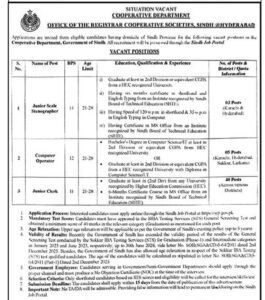 Computer Operator & Junior Clerk jobs in Sindh